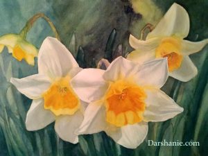 darshanie sukhu watercolor daffodil darshan