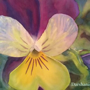 darshanie sukhu watercolor pansy bold