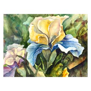 Iris Light - Original Watercolor - 24.5x17.8" on high quality watercolor paper